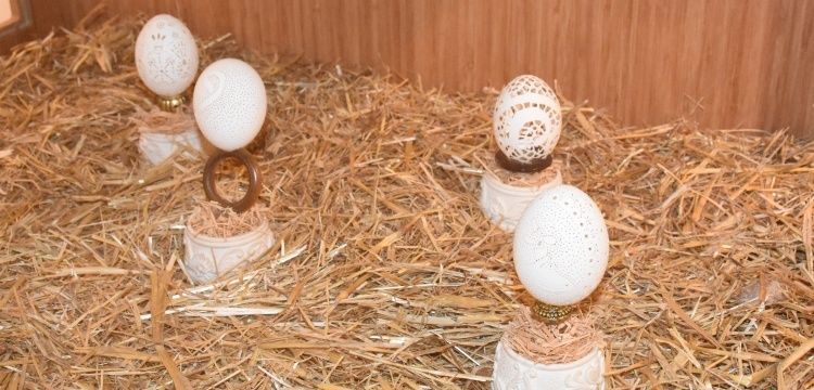Afyonkarahisar'daki Yumurta Müzesine ilgi her geçen gün artıyor