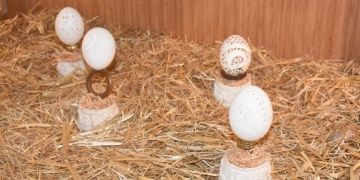 Afyonkarahisardaki Yumurta Müzesine ilgi her geçen gün artıyor