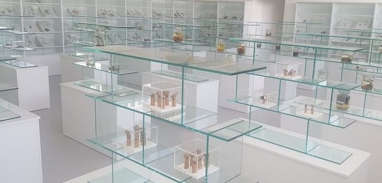 Kıbrıs Herbaryum ve Doğa Tarihi Müzesi açıldı