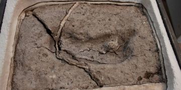 Amerika kıtasındaki en eski insan ayak izi bulundu