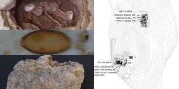 Ancient faeces reveal parasites in 8,000-years-old in Çatalhöyük