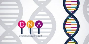 İnsan genlerinde iki hayalet türün DNAsı yaşıyor