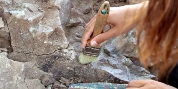 Kayserideki Barsama kazılarında da milyonlarca yıllık fosiller bulundu