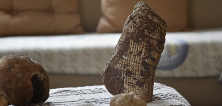 Adıyaman'daki Hacı Muhammet Dağında fosiller bulundu