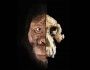 Australopithecus Anamensis kafatası insanımsı türleri tartışmaya açtı