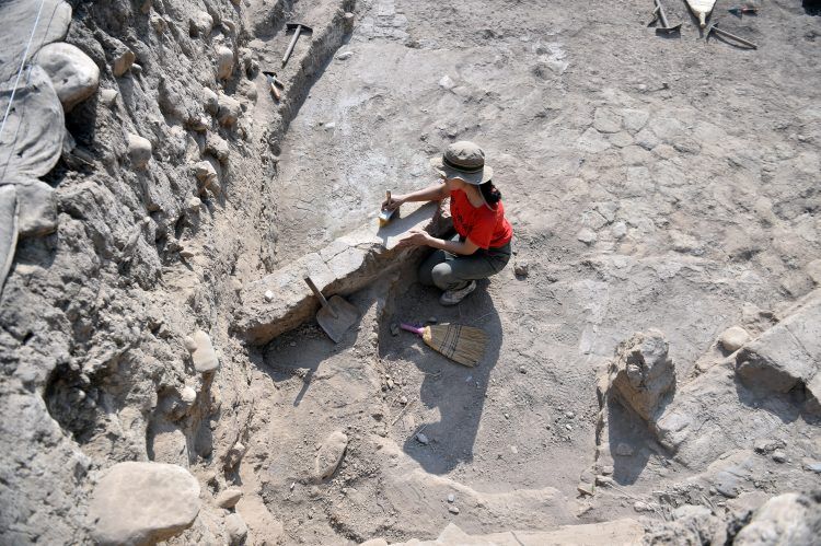 Prof. Dr. Isabella Caneva Yumuktepe Höyüğü kazılarını anlattı