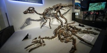 Japonyada bulunan fosilden yeni bir dinozor türü keşfedildi