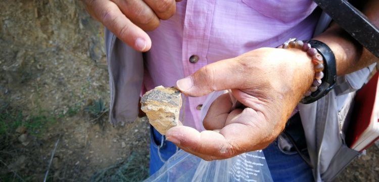 İznik'teki jeolojik araştırmalarda milyonlarca yıllık deniz canlısı fosilleri bulundu