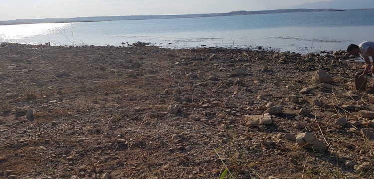 Atatürk Barajı kıyısında Bizans dönemine ait mozaik parçaları bulundu