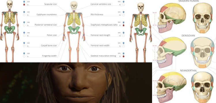 Altay İnsanı'nın vücut anatomisi ve yüz hatları neye benziyordu?