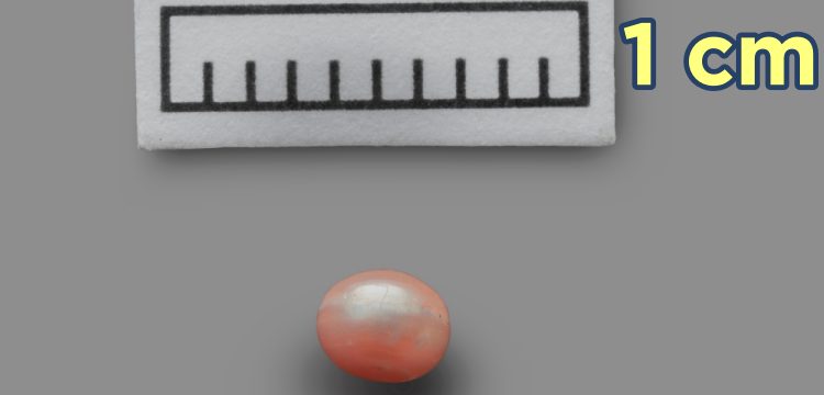 World's oldest pearl discovered on Marawah island of Abu Dhabi