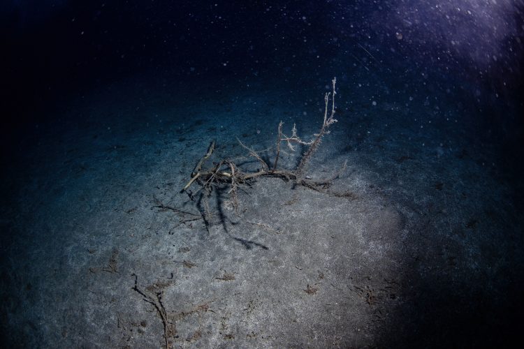 Olympos'un su altı ve su üstü güzellikleri seyyahları cezbediyor