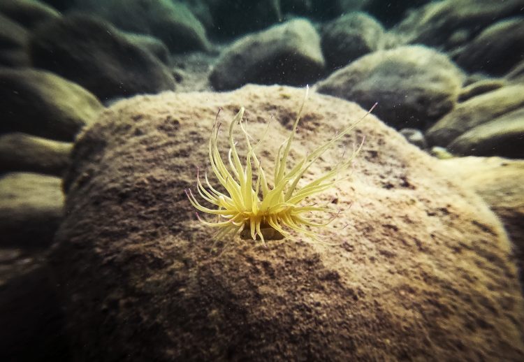 Olympos'un su altı ve su üstü güzellikleri seyyahları cezbediyor