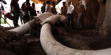 Meksikada 15 bin yıllık mamut tuzakları keşfedildi