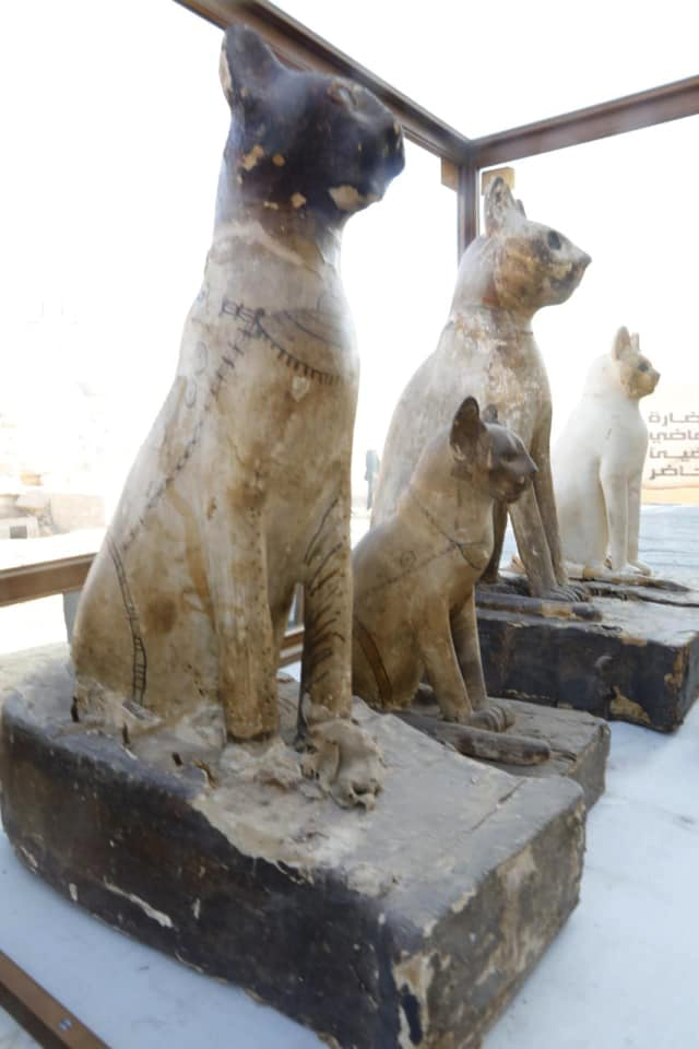 Mısır'daki arkeoloji kazılarında kedi heykelleri ve mumyaları bulundu