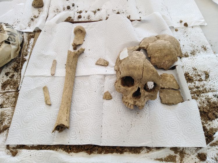 Şapinuva Antik Kenti'nde Hitit dönemine ait kafatası ve uyluk kemiği bulundu