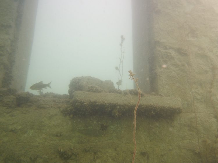 Rumkale'nin su altında kalan kısımları