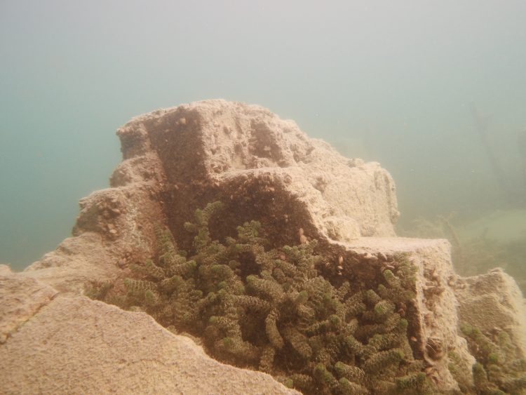 Rumkale'nin su altında kalan kısımları