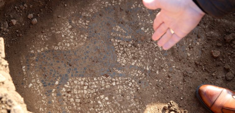 Manisa'da definecilerin satmak istediği 2200 yıllık mozaik korumaya alındı