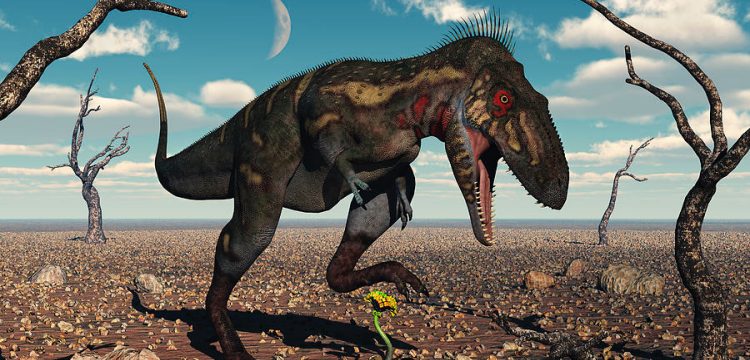 Nanotyrannus türü bir dinozorun hiç olmadığı savunuluyor