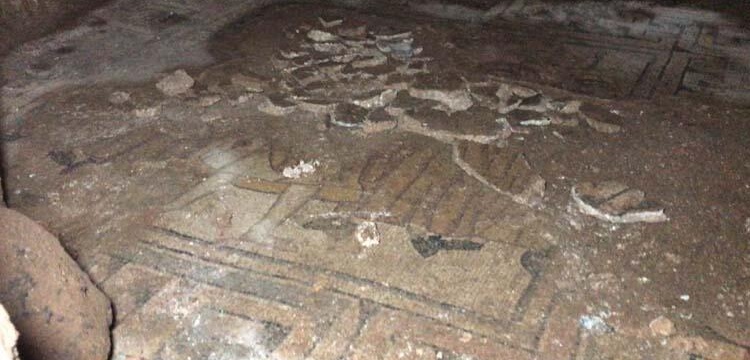 Şanlıurfa’da bir inşaatta Haleplibahçe Mozaiklerine benzer mozaikler bulundu