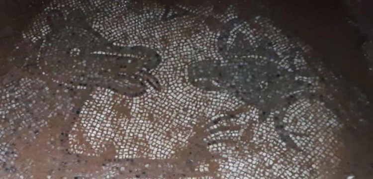 Şanlıurfa'da izinsiz kazıda Roma dönemine ait mozaikler ortaya çıktı