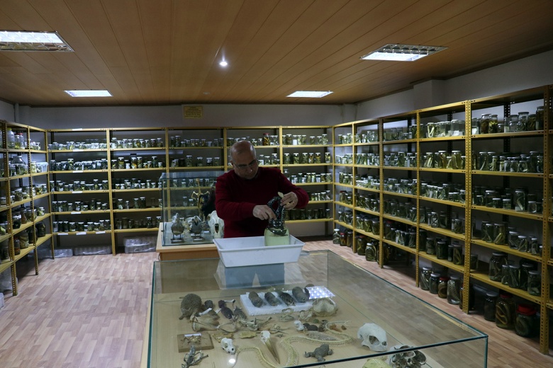 Yılan Müzesi 185 tür sürüngene ev sahipliği yapıyor