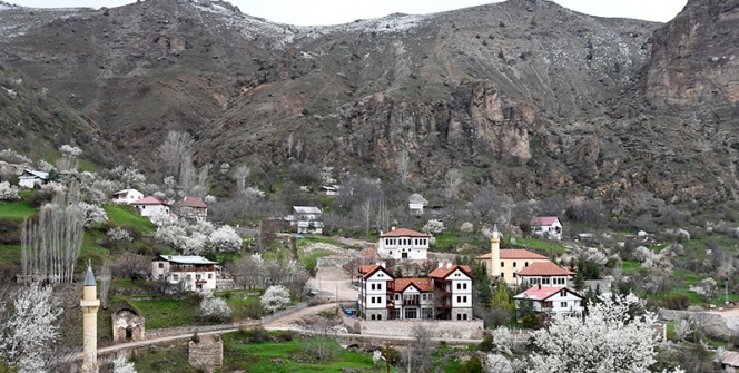 Süleymaniye yahut Eski Gümüşhanede meyve ağaçları çiçek açtı