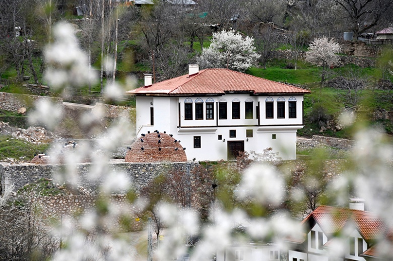 Süleymaniye yahut Eski Gümüşhane'de meyve ağaçları çiçek açtı