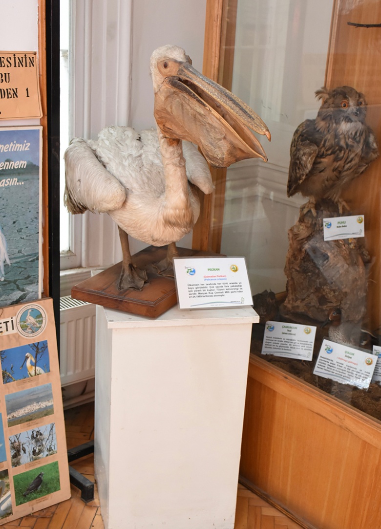 Bursa Saatçi Köşkü Ormancılık Müzesi