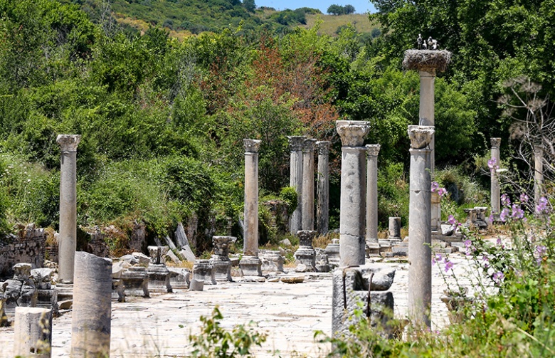 Antik Tiyatro manzaralı leylek yuvaları