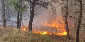 Gelibolu yarımadasındaki orman yangını söndürülmeye çalışılıyor