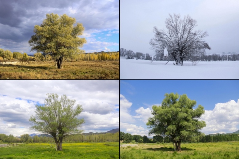 Tunceli Ovacık'ın 4 mevsim güzelliği