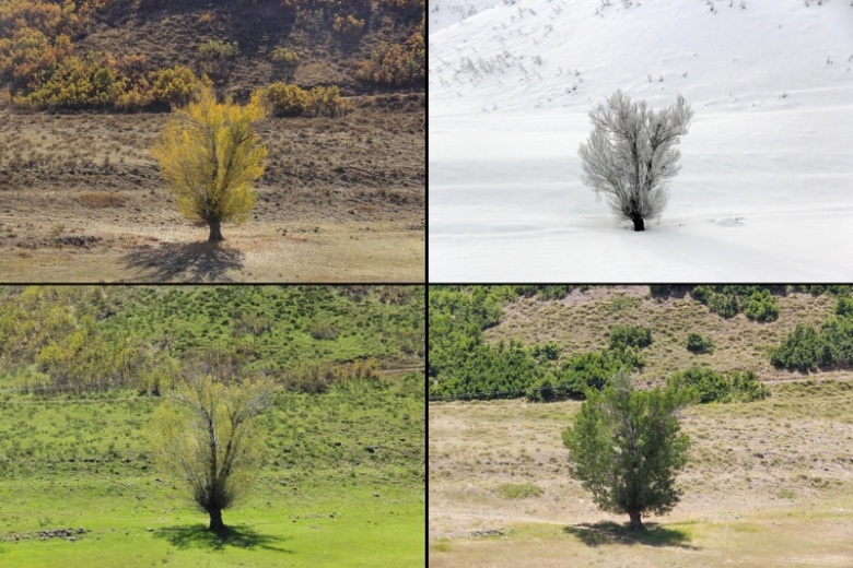 Tunceli Ovacık'ın 4 mevsim güzelliği