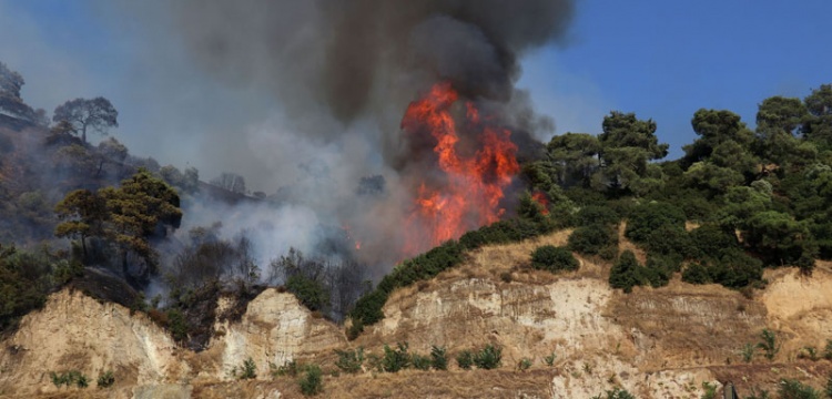 Ormanlık Alanlar ve Civarında Ateş Yakılması engellenecek