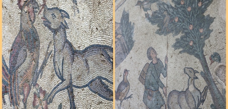 Germanicia Antik Kenti'nde 2 yeni mozaik alanı ziyarete açıldı