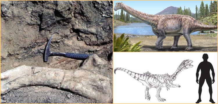 Keşfedilen yeni dinozor türüne Arackar licanantay adı verildi