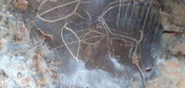Mersin'de bir mağarada Prehistorik dönem kaya resimleri bulundu