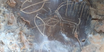 Mersinde bir mağarada Prehistorik dönem kaya resimleri bulundu