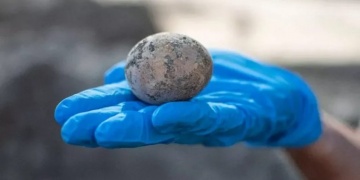 Arkeologlar bin yıllık tavuk yumurtası buldu