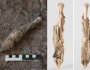İranda bulunan 1600 Yıllık Koyun kalıntısının DNAsı incelendi
