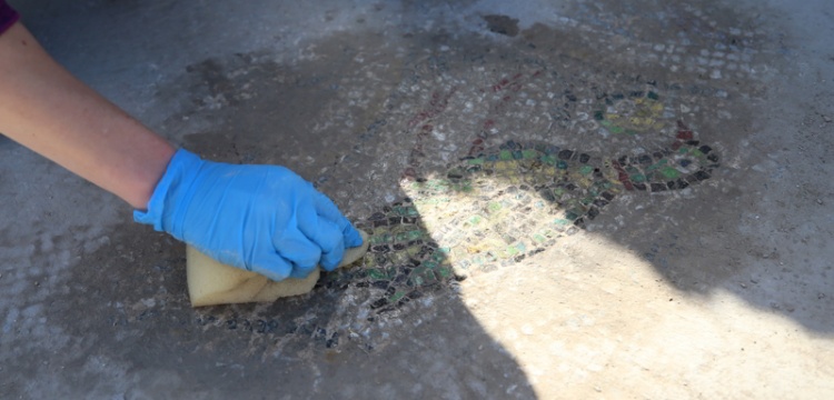 Troya Antik Kenti kazılarında zemin mozaiği bulundu
