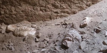 Knidos Antik Kenti Arkeoloji kazılarında heykel başları bulundu