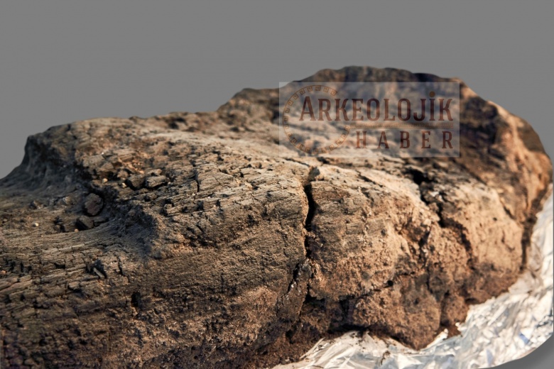 Çatalhöyük'te bulunan 8500 bin yıllık ahşap merdiven
