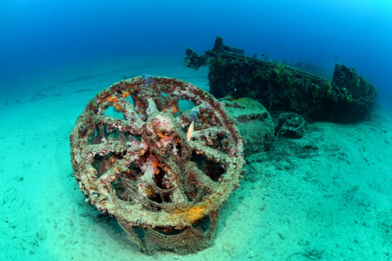 Çanakkale'de batırılan İngiliz HMS Majestic gemisinin sualtı görüntüleri