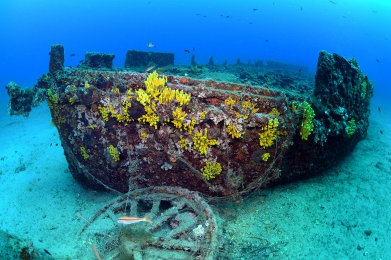 Çanakkale'de batırılan İngiliz HMS Majestic gemisinin sualtı görüntüleri