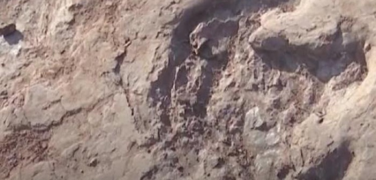 Çin'de bir restoran müşterisinin dikkati fosil dinozor izlerini keşfettirdi