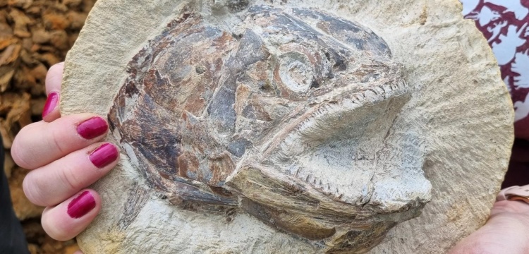 Adeta kükreyen 183 milyon yıllık balık fosili görenleri şaşırtıyor