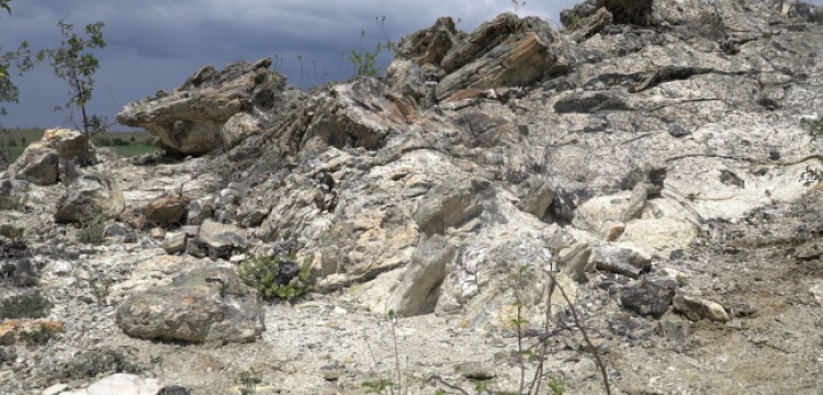 Ankaranın 15 milyon yıllık fosil ormanı