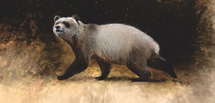 6 Milyon yıl önce Avrupada dev bir panda türü yaşamış